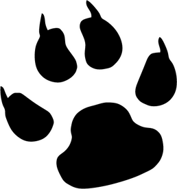 Hondenpootjes met nagel